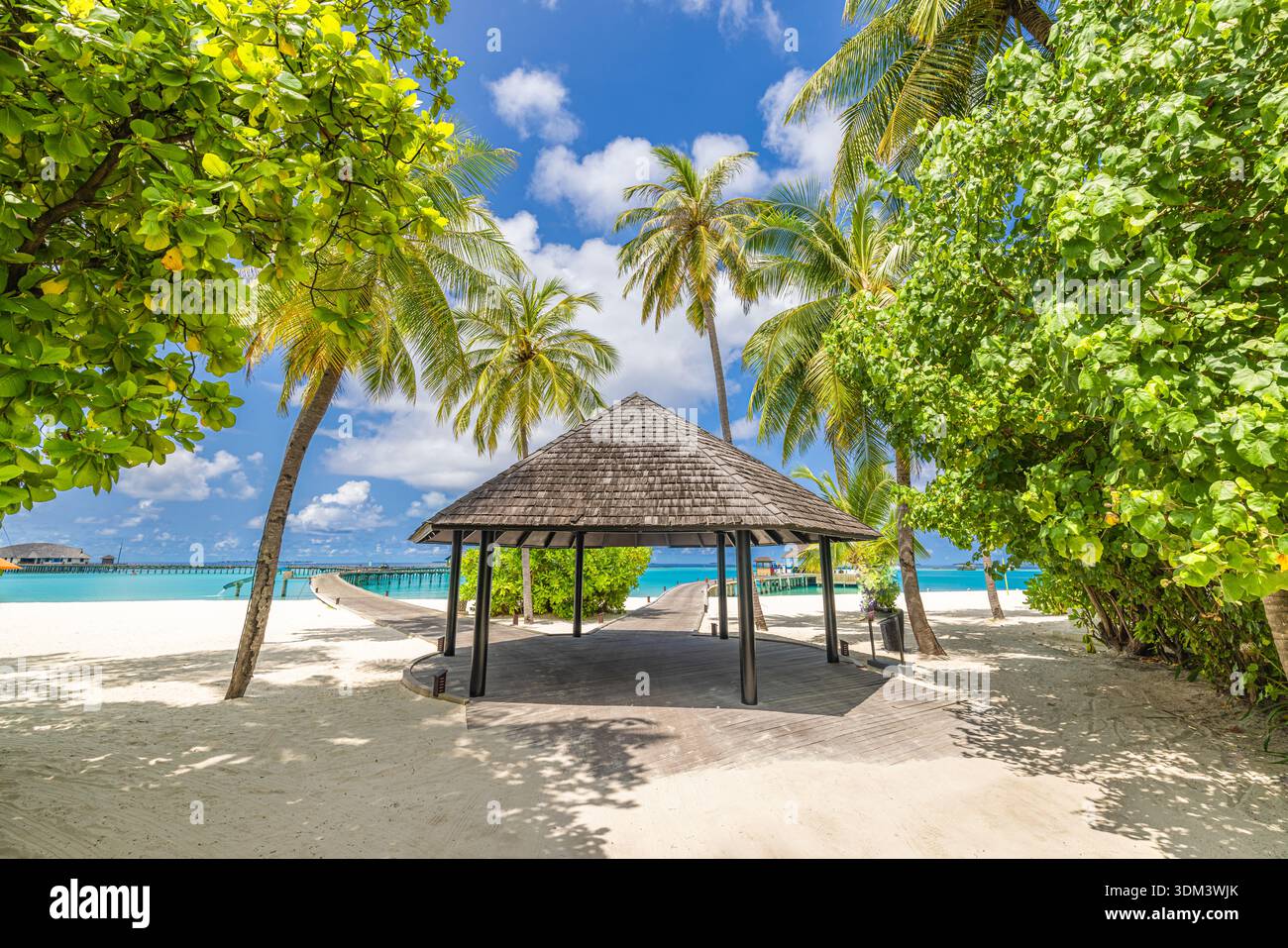 Luxe Maldives plage paysage turquoise océan sable blanc tropical Resort fond de paradis Banque D'Images