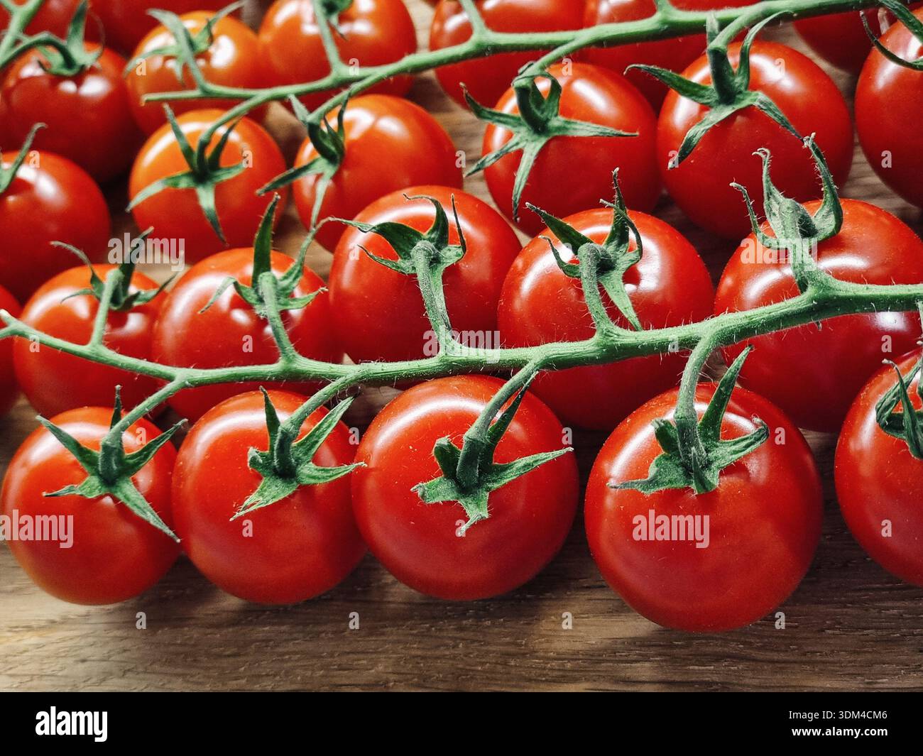 Tomates cerises fraîches sur une surface en bois rustique. Un gros plan vibrant de multiples grappes de tomates cerises rouge vif encore attachées à leurs vignes. Banque D'Images