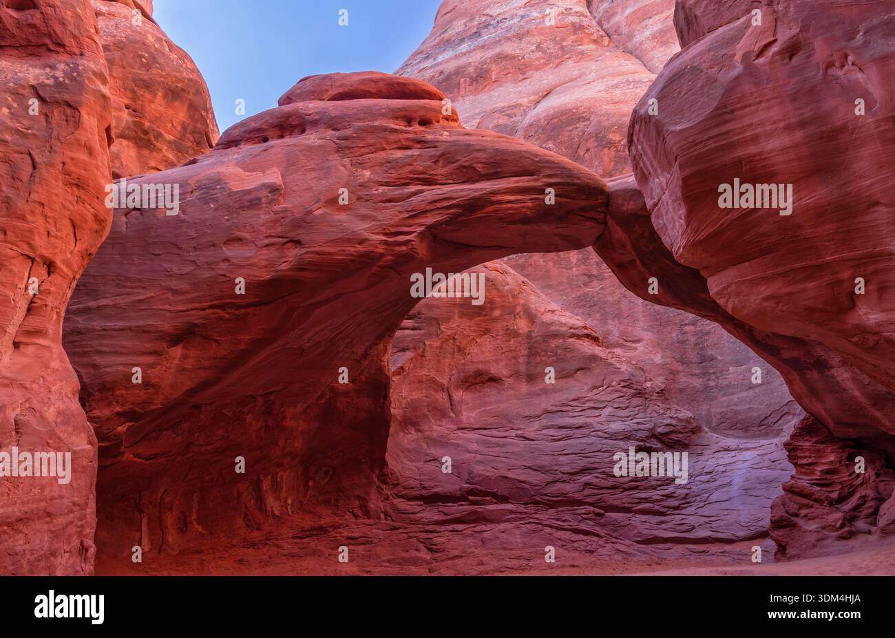 Sand Dune Arch colorée éclairée par la lumière rebondissant sur les ailerons de grès dans le parc national d'Arches près de Moab, Utah. Banque D'Images