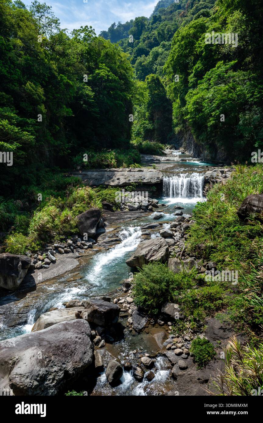 Vue panoramique d'une cascade dévalant à travers une forêt luxuriante du comté de Miaoli, à Taïwan, entourée d'une végétation dense et de formations rocheuses naturelles Banque D'Images