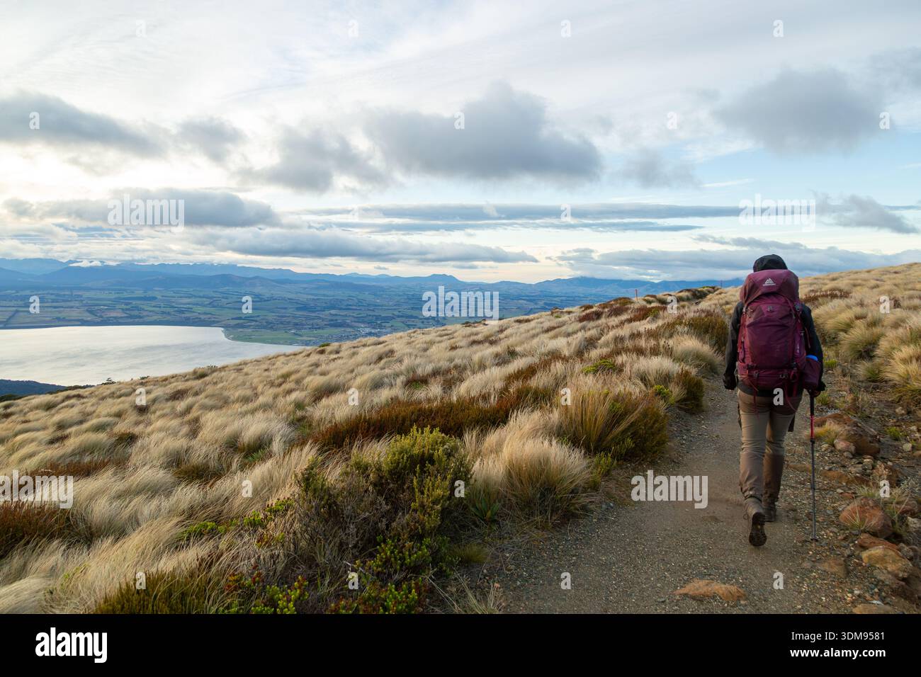 Un randonneur marchant sur la piste Kepler avec vue sur le lac te Anau, te Anau, Île du Sud, Nouvelle-Zélande Banque D'Images