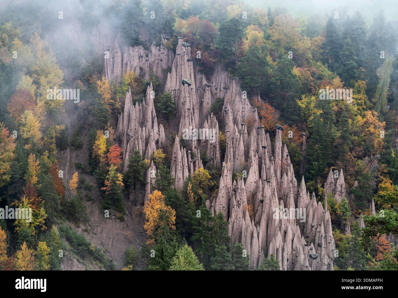 Les pyramides terrestres ou Hoodoos de Longomoso, Piramidi di Terra Longomoso, plateau de Ritten, Tyrol du Sud, Dolomites, Italie Banque D'Images