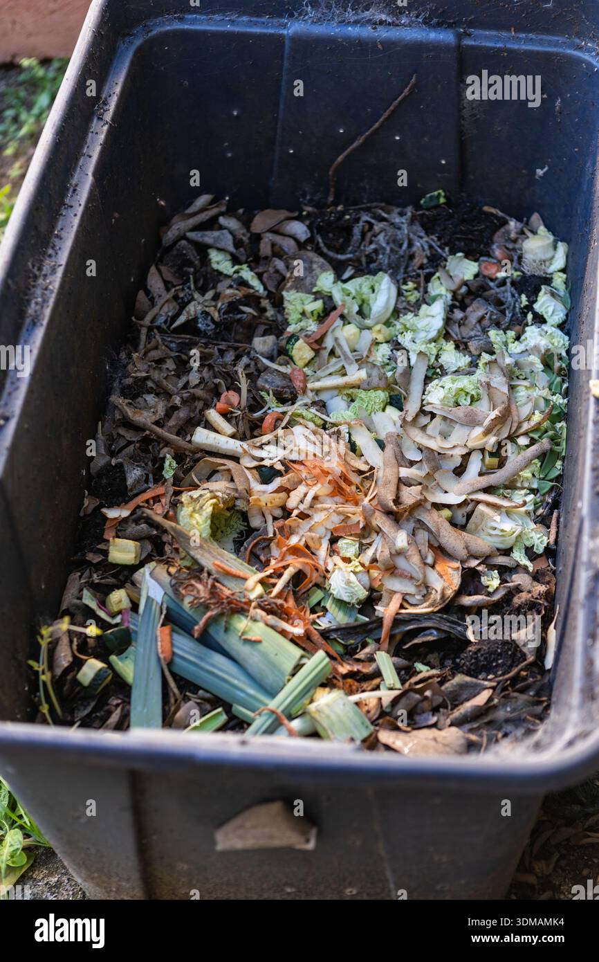 Décomposition des déchets alimentaires de compost de jardin et conteneur de déchets avec des déchets de jardin et des chutes de jardin. Banque D'Images