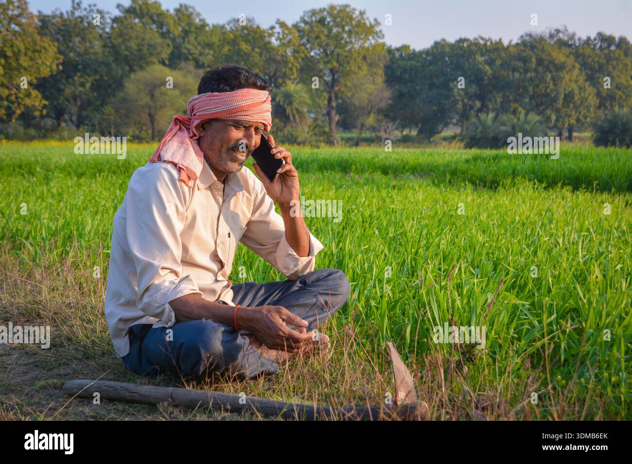 Agriculteur indien parlant sur le téléphone portable dans le champ vert. Connectivité numérique dans la vie agricole rurale Banque D'Images