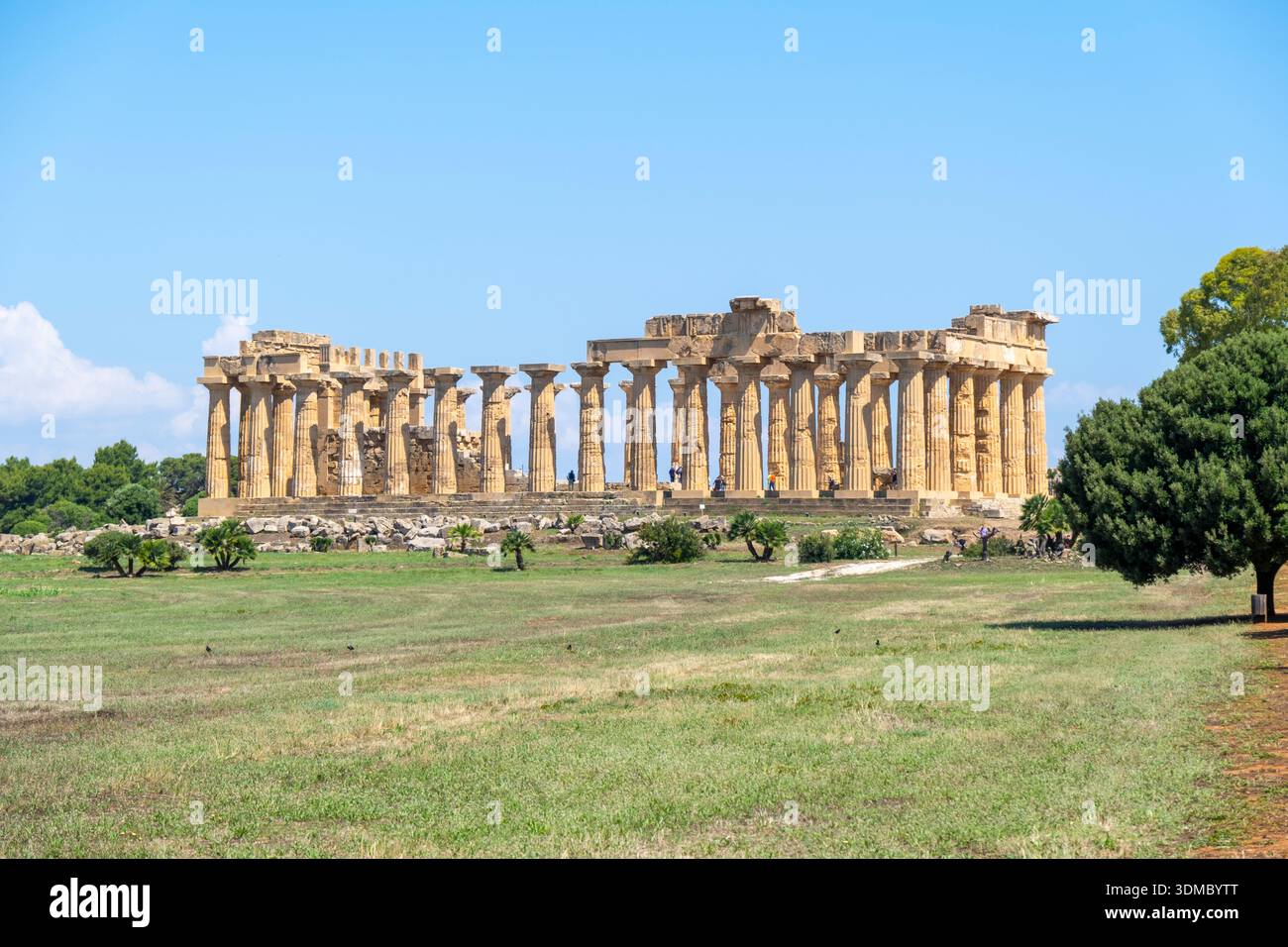 Temple d'Héra (Temple E) dans le parc archéologique de Selinunte. Catelvetrano, Trapani, Sicile, Italie, Europe. Banque D'Images