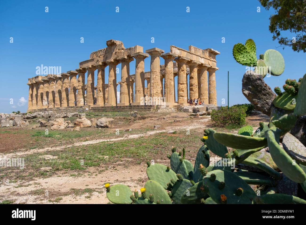 Temple d'Héra (Temple E) dans le parc archéologique de Selinunte. Catelvetrano, Trapani, Sicile, Italie, Europe. Banque D'Images