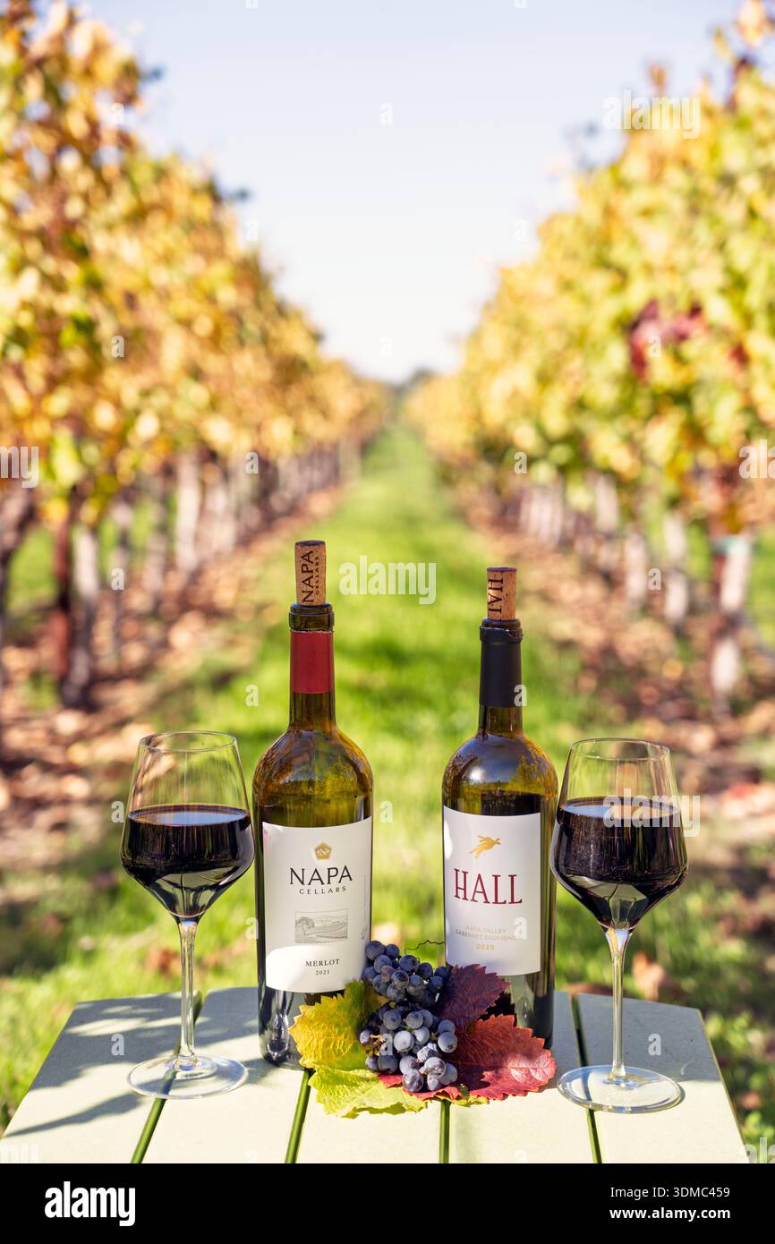 Dégustation de vin en plein air, bouteilles de vin et verres mis en scène sur une table dans un vignoble de Napa Valley AVA, comté de Napa, Californie, États-Unis, en automne. Banque D'Images