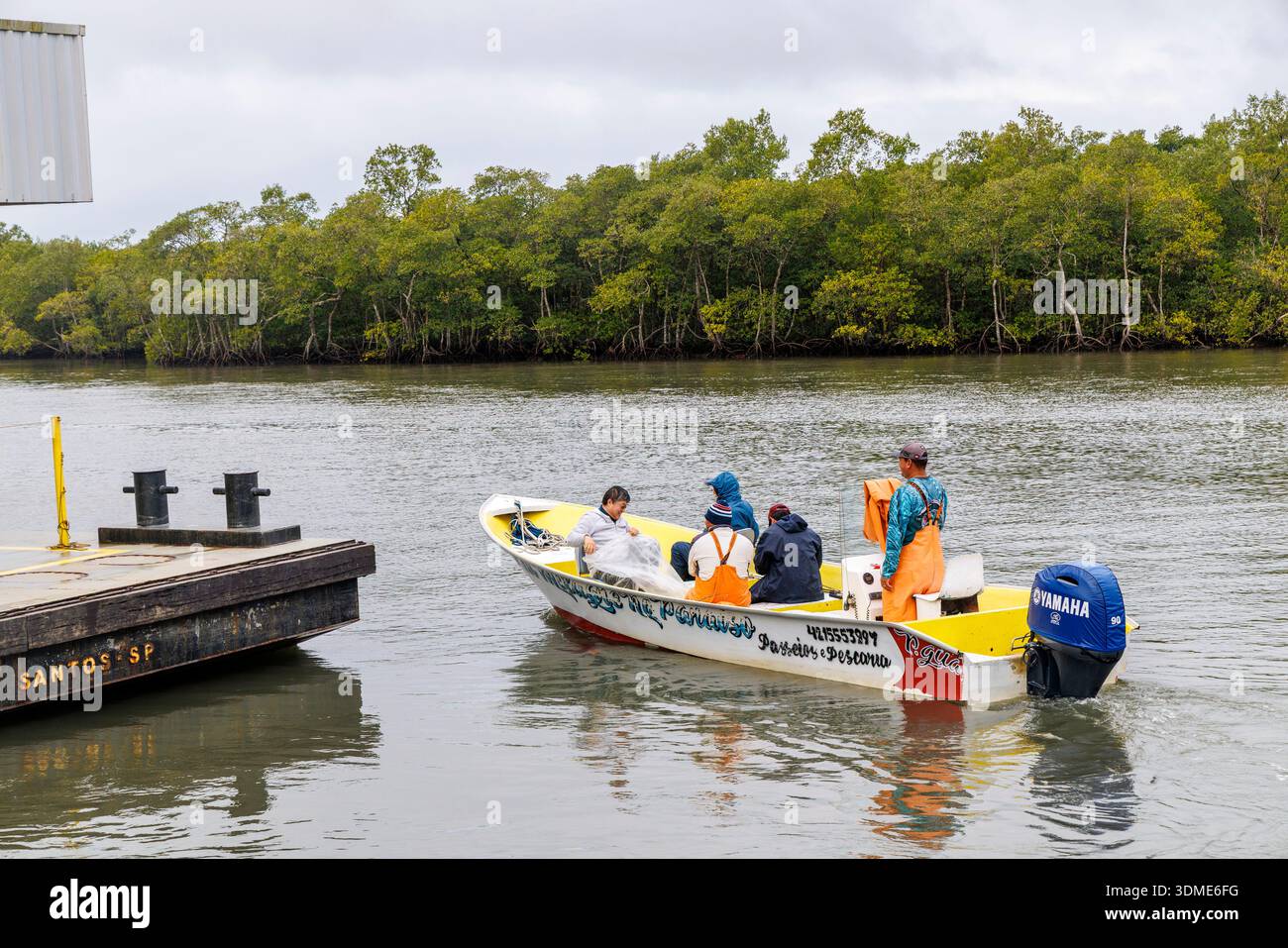 Bateau de pêche naviguant depuis la jetée, Ariri, San Paulo, Brésil Banque D'Images