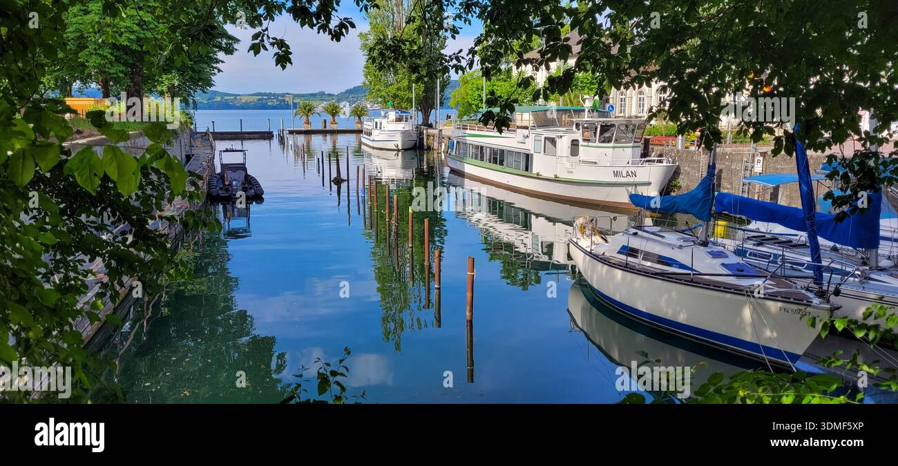 Uberlingen, Allemagne - 07 juillet 2024. Un port pittoresque encadré par des feuilles d'arbre vertes avec plusieurs bateaux sur le lac de Constance dans la matinée. Banque D'Images