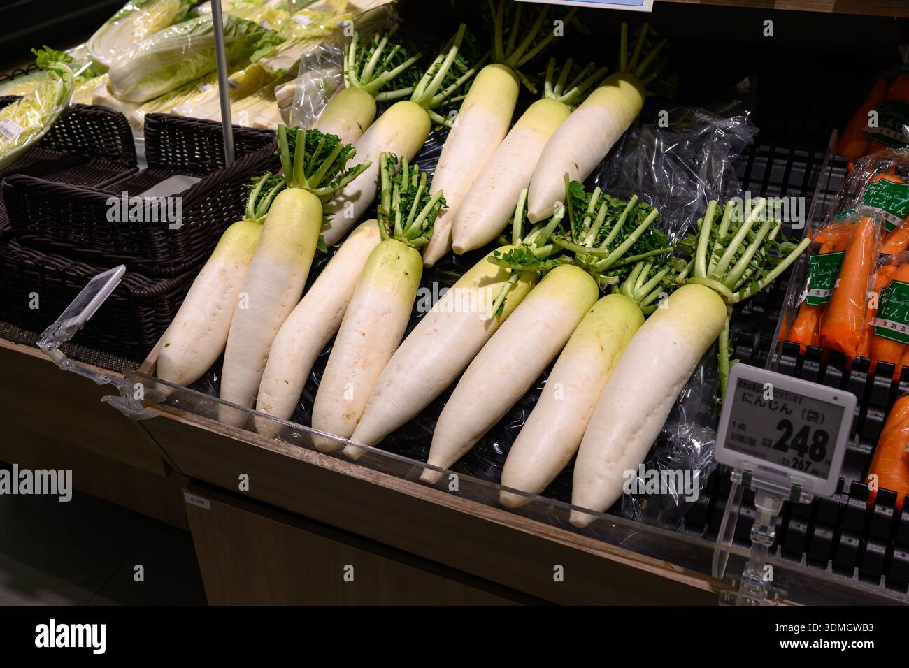De grands radis Daikon japonais exposés dans un supermarché - Yokohama, Japon - 11 novembre 2025 Banque D'Images