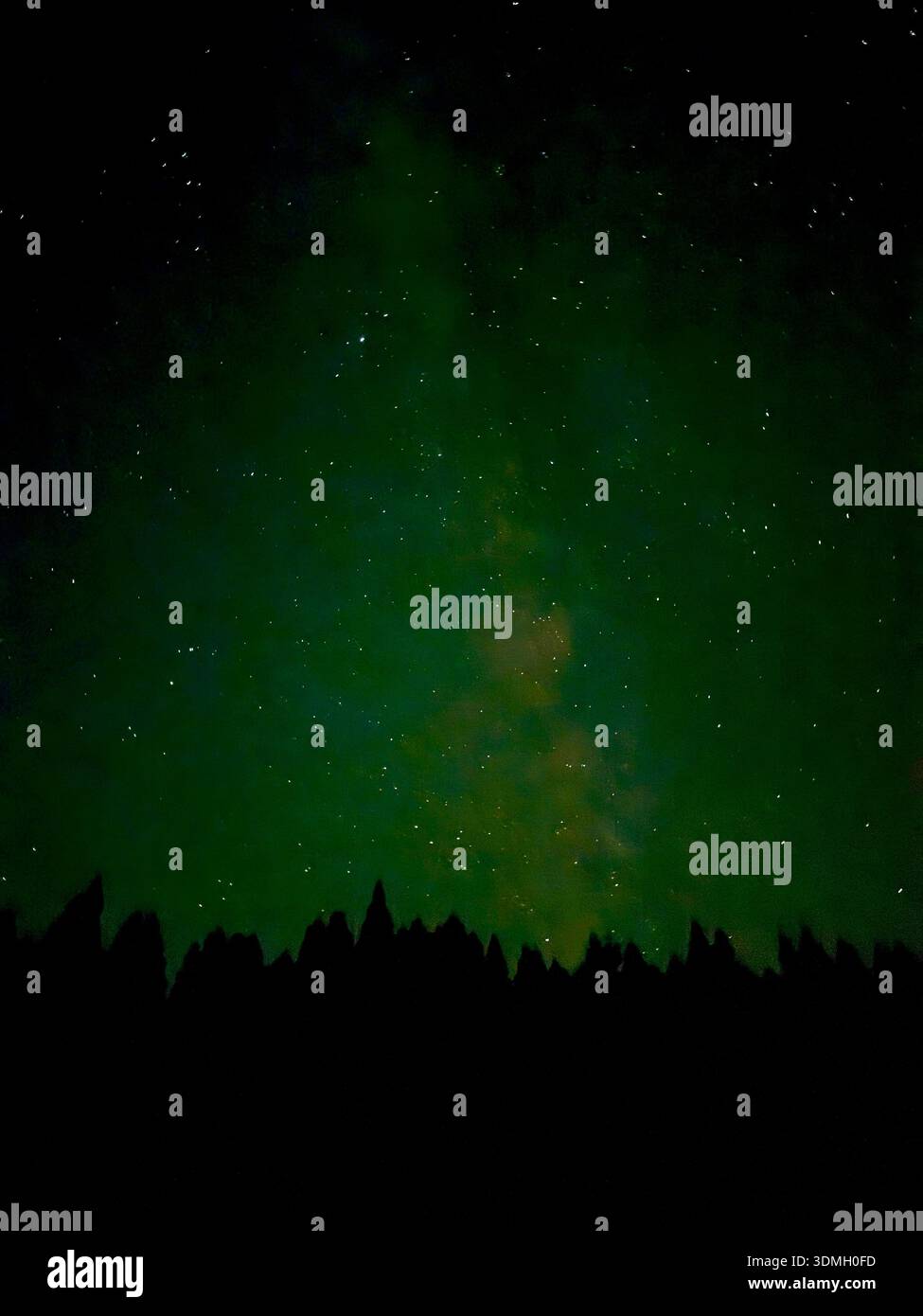Galaxie de la voie lactée et étoiles brillantes vert sur une forêt sombre de la limite des arbres. Astrophotographie à exposition longue du ciel nocturne céleste en pleine nature. - Image de stock capturée avec un smartphone