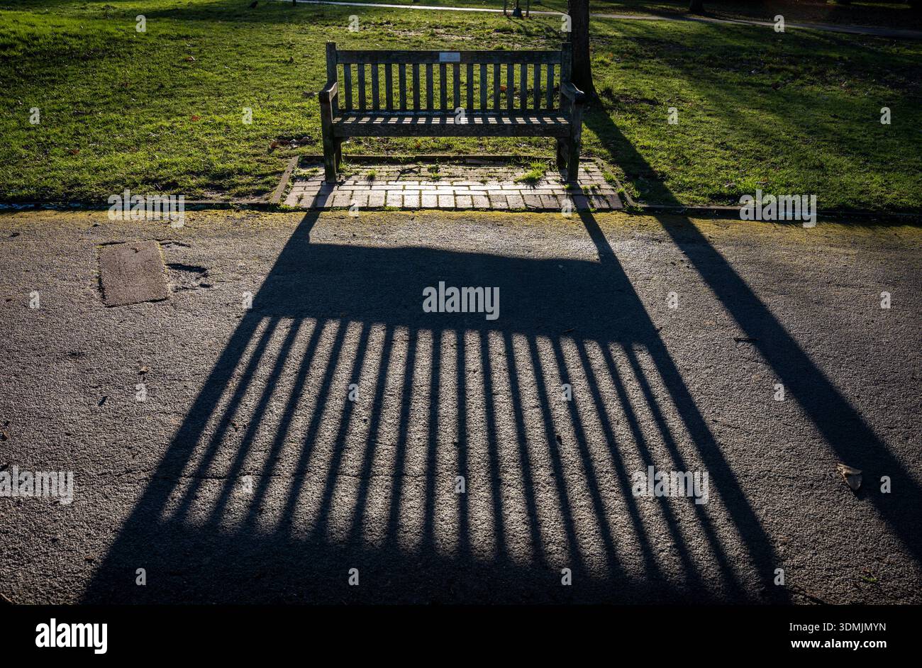 Banc de parc projetant une longue ombre dans la lumière de fin d'après-midi Banque D'Images
