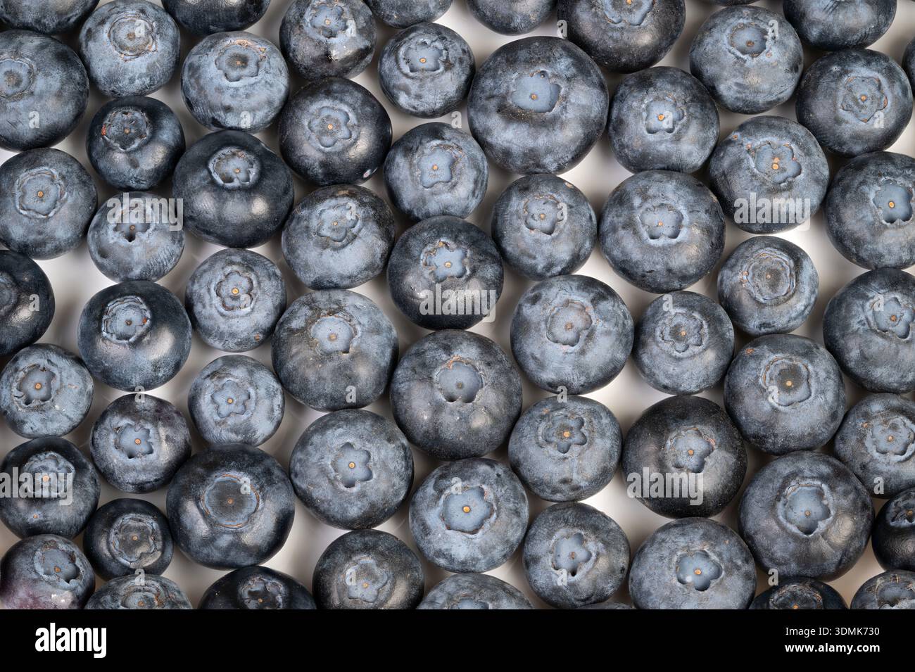 bleuets pour bol de yaourt et granola, lumière du matin et couleurs vives évoquent le style de vie frais du petit déjeuner et du brunch, parfait pour les menus et les médias sociaux Banque D'Images