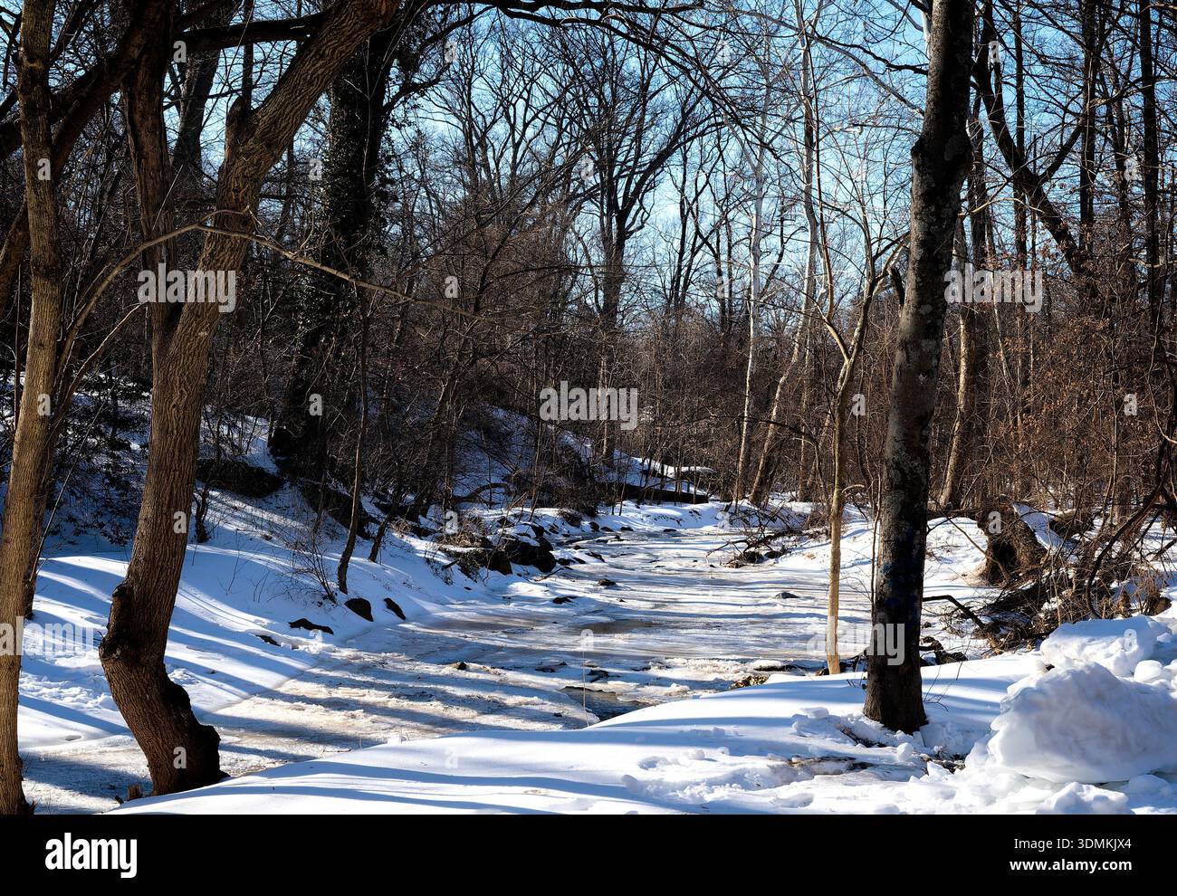 Parc de Sligo Creek dans des conditions de neige profonde en février 2026. Banque D'Images