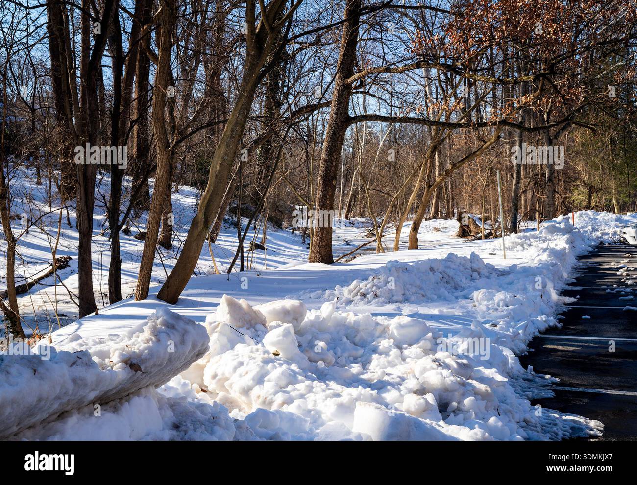 Parc de Sligo Creek dans des conditions de neige profonde en février 2026. Banque D'Images