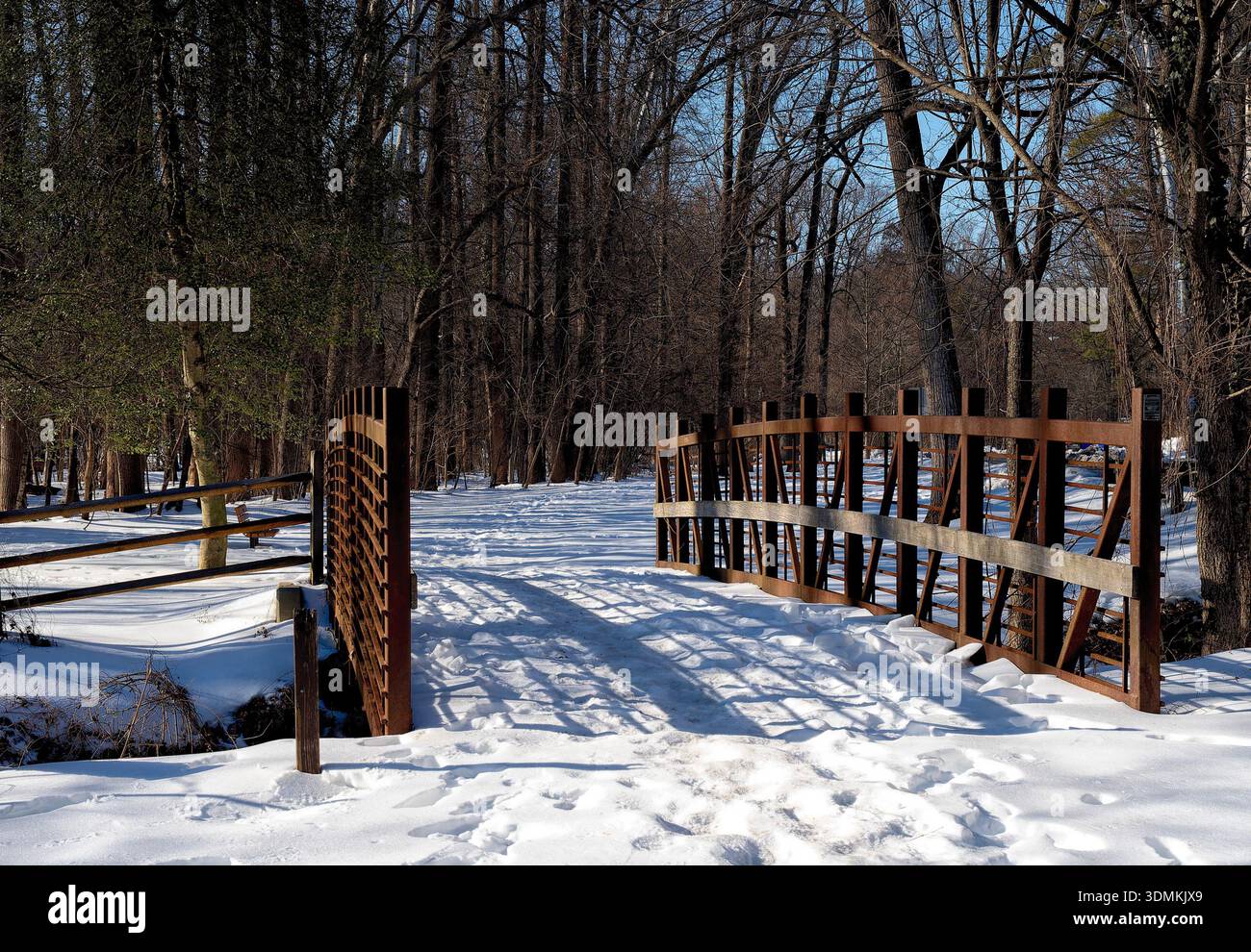 Parc de Sligo Creek dans des conditions de neige profonde en février 2026. Banque D'Images