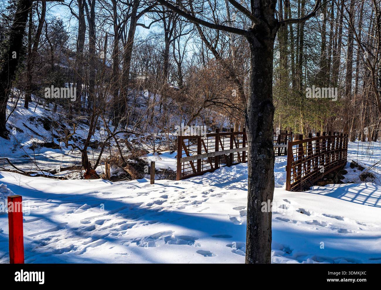 Parc de Sligo Creek dans des conditions de neige profonde en février 2026. Banque D'Images