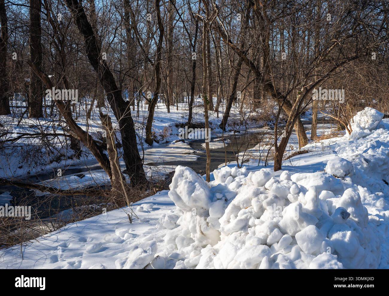 Parc de Sligo Creek dans des conditions de neige profonde en février 2026. Banque D'Images