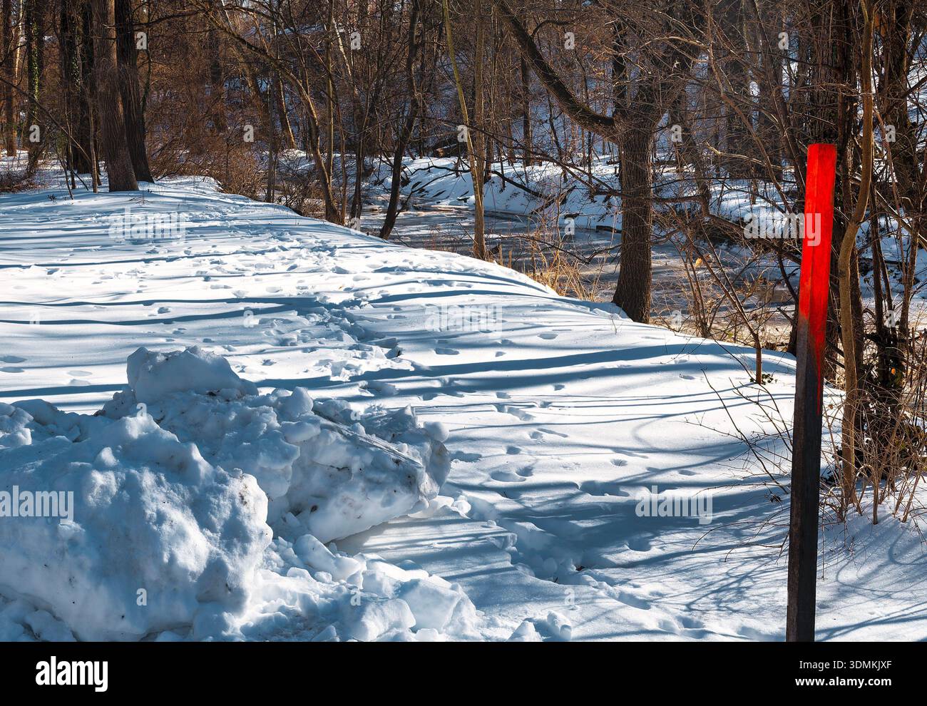 Parc de Sligo Creek dans des conditions de neige profonde en février 2026. Banque D'Images