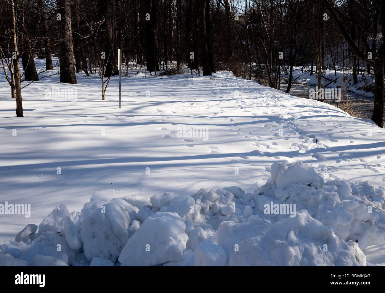 Parc de Sligo Creek dans des conditions de neige profonde en février 2026. Banque D'Images