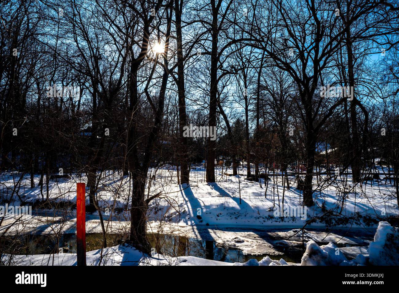 Parc de Sligo Creek dans des conditions de neige profonde en février 2026. Banque D'Images