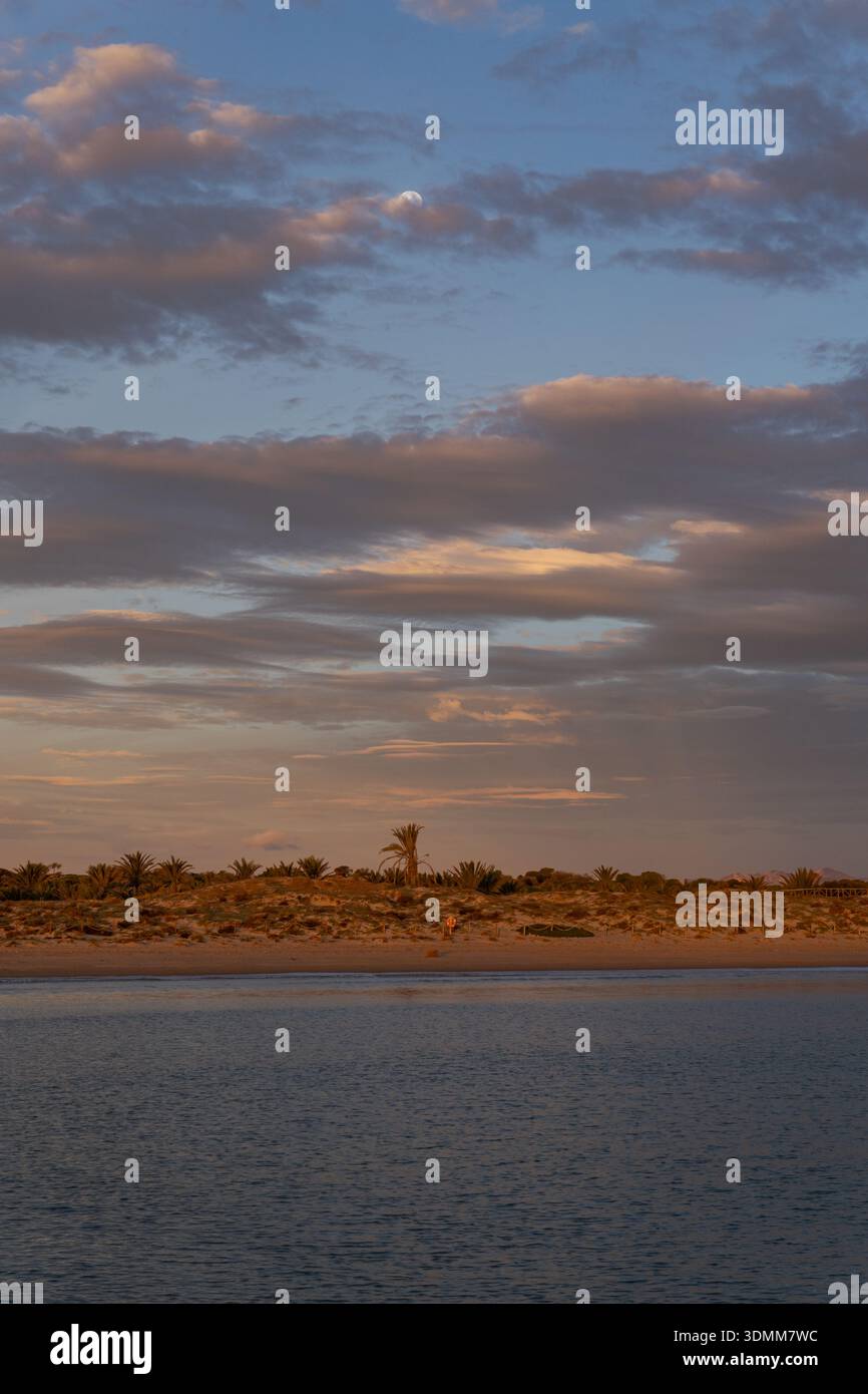 Une vue matinale paisible sur une plage de sable avec des palmiers sous un ciel crépusculaire bleu et orange doux avec une pleine lune visible à travers les nuages Banque D'Images