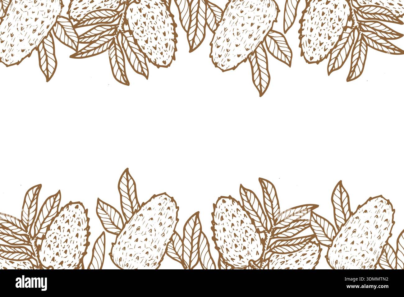 Cadre de fruits de Guanabana avec des feuilles. Fond de croquis de fruit de Soursop, design rétro. Fond de fruit de guanabana dessin à l'encre avec place vide pour le texte ou le logo. Illustration de Vecteur
