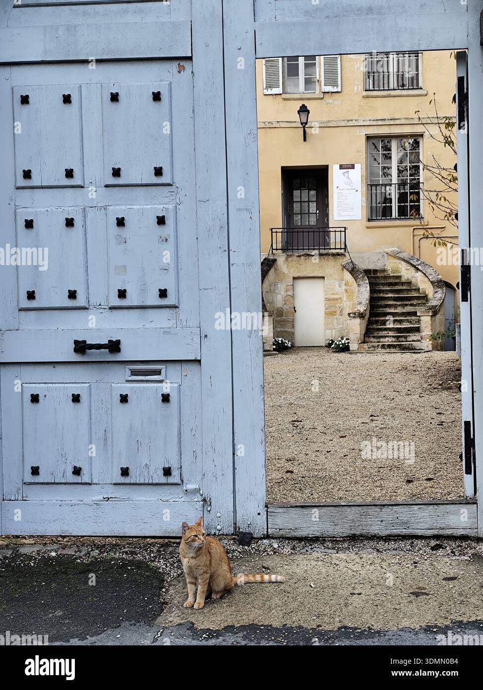 Chat au gingembre devant le Manoir colombien qui abrite le Musée Daubigny depuis 1980, Auvers sur Oise, France Banque D'Images