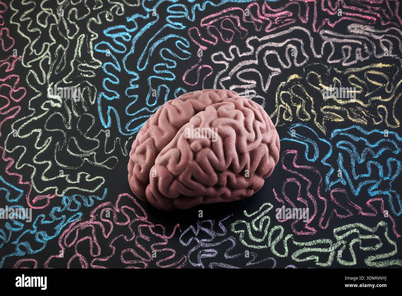 Modèle de cerveau humain entouré de lignes bouclées colorées dessinées à la craie sur le tableau noir scholl. Psychologie, santé mentale ou concept d'esprit créatif. Banque D'Images