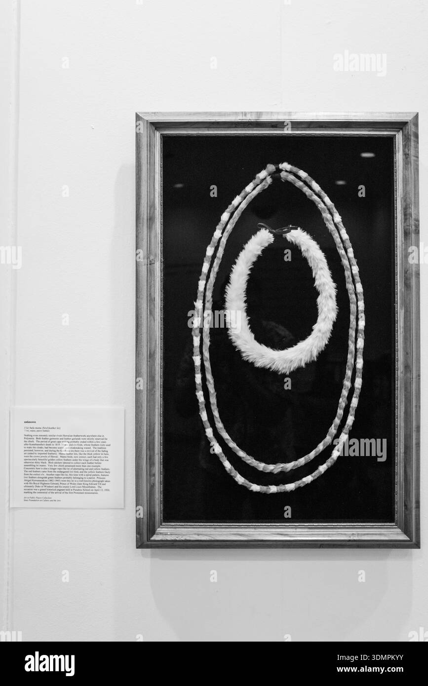 Une photographie encadrée représentant le lei hawaïen traditionnel est exposée à Washington place à Honolulu. L'exposition présente une vue rapprochée de la DEL Banque D'Images