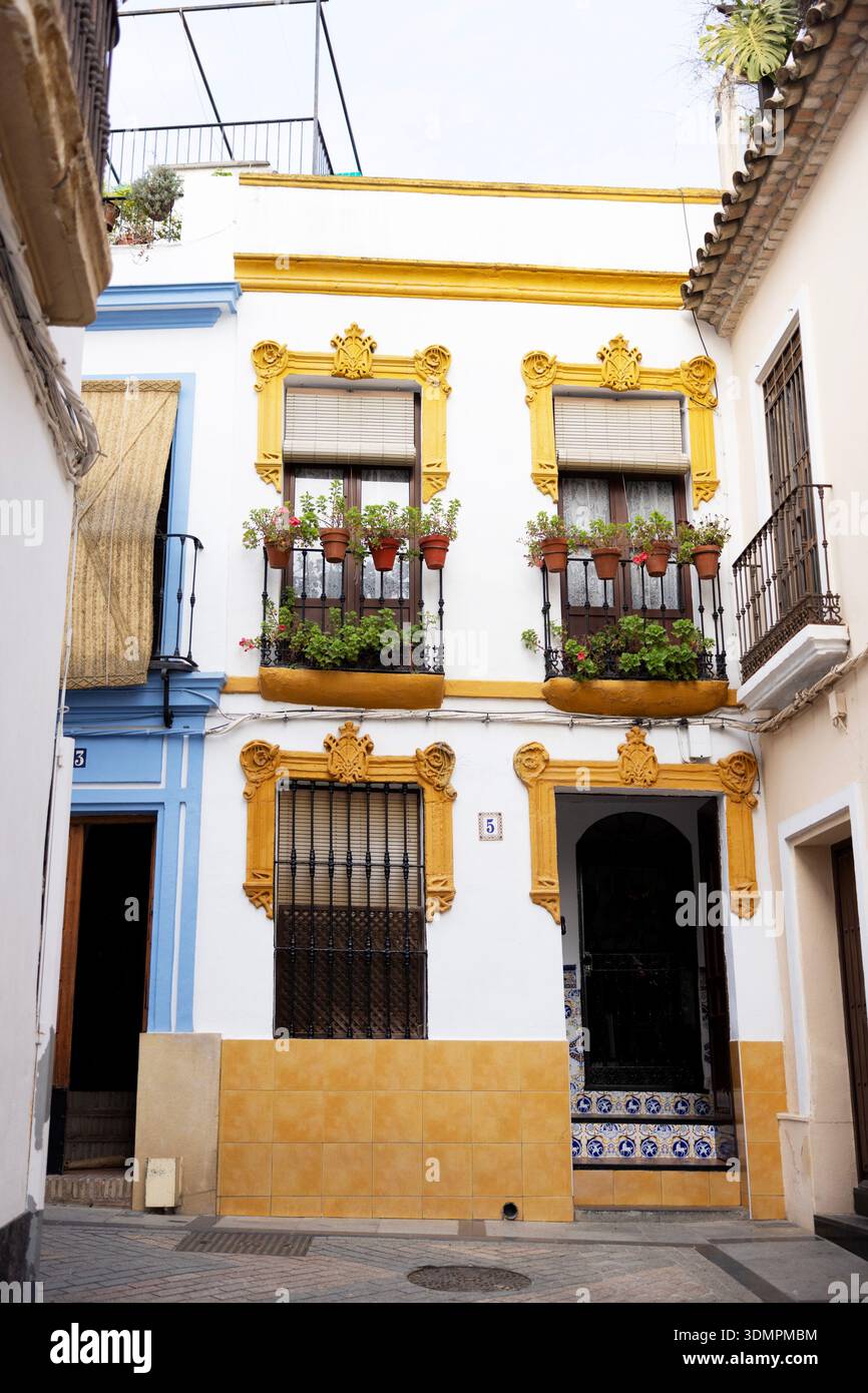 Une maison traditionnelle avec la signature albero (or) couleur et balcons remplis de plantes à Cordoue, Espagne. Banque D'Images