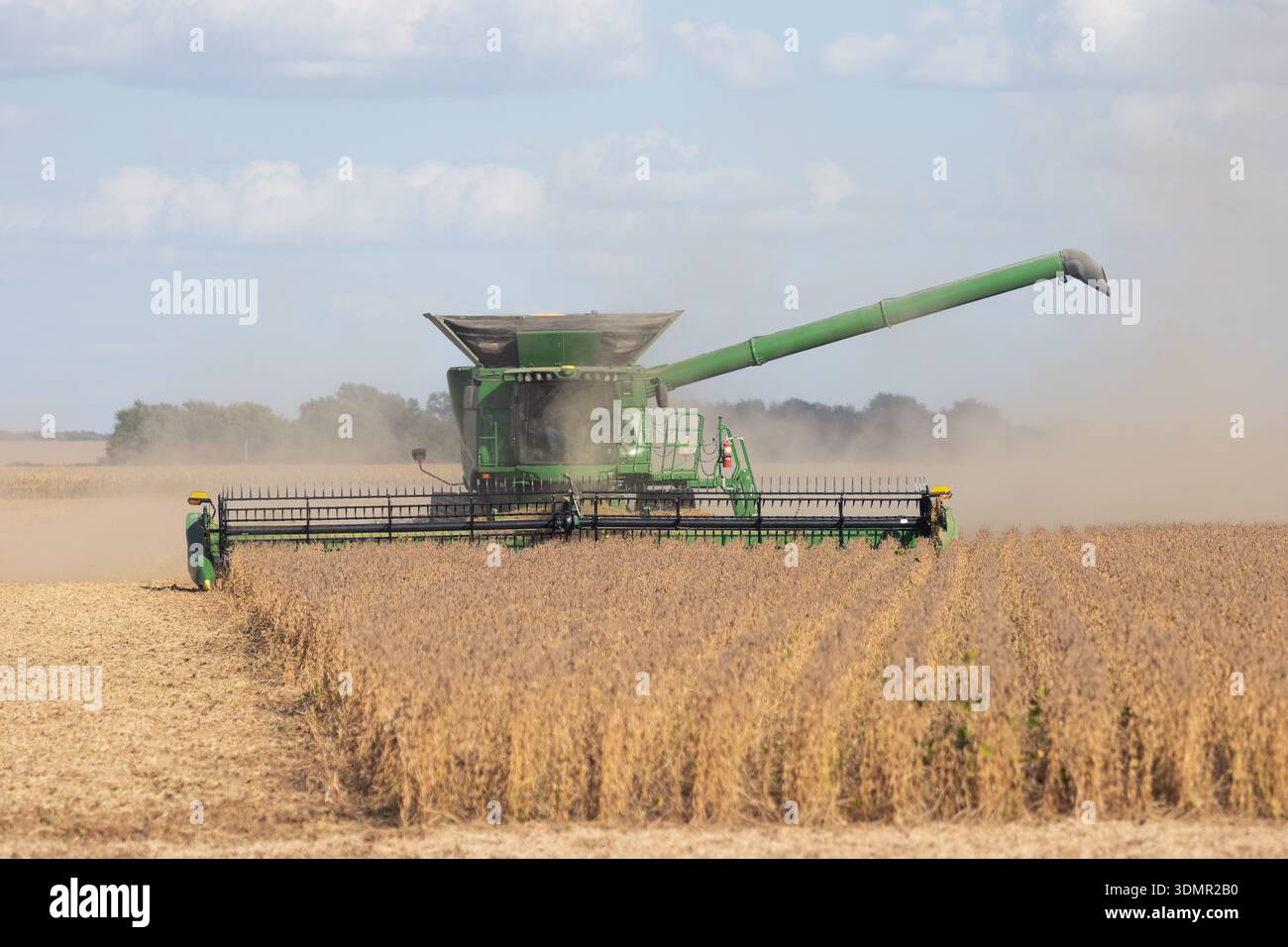Récolte de soja dans le comté de Louisa, Iowa par un après-midi d'automne ensoleillé. Banque D'Images