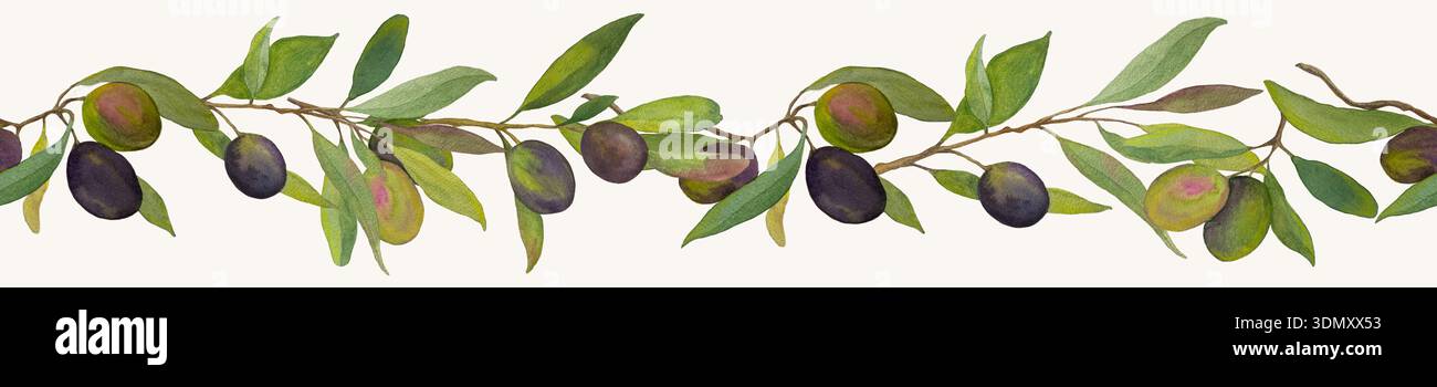 Bordure d'aquarelle horizontale sans couture faite de branches d'oliviers avec des olives vertes et noires. Illustration botanique peinte à la main Banque D'Images