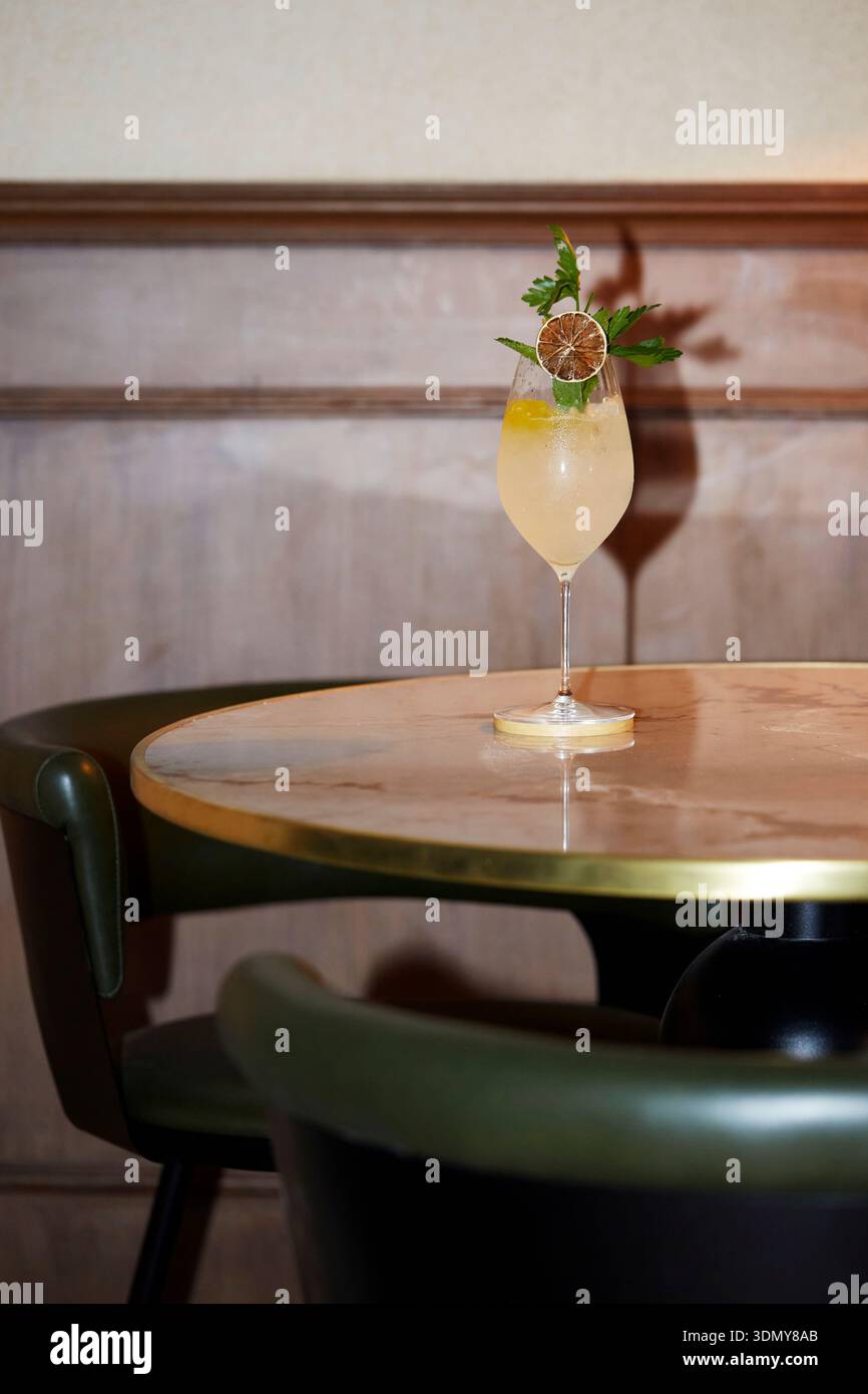 Un cocktail sophistiqué servi dans un grand verre, garni d'une tranche de citron vert séchée et d'herbes fraîches. Parfait pour les passionnés de mixologie cherchant un rafraîchissement Banque D'Images