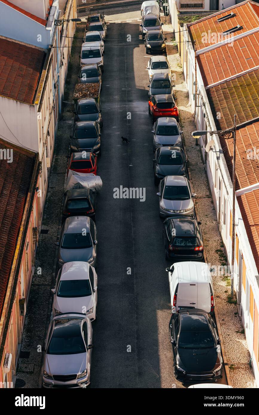 Vue aérienne d'une rue urbaine étroite avec des voitures garées des deux côtés, sur fond de toits texturés rouges et blancs. Un chat solitaire croise Banque D'Images