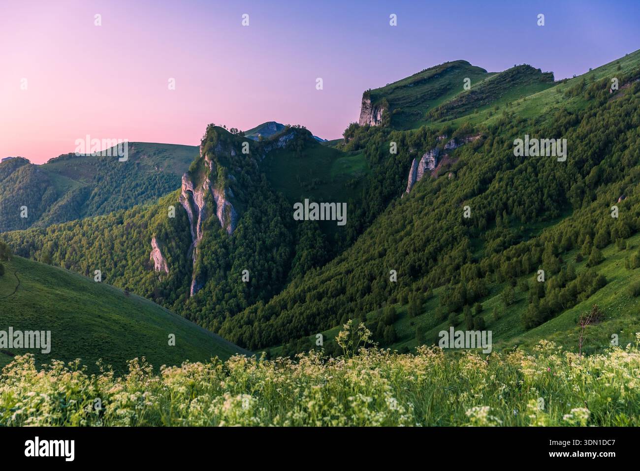 Belle vue crépusculaire sur les montagnes verdoyantes et les falaises avec des fleurs sauvages au premier plan sous un ciel rose coloré Banque D'Images