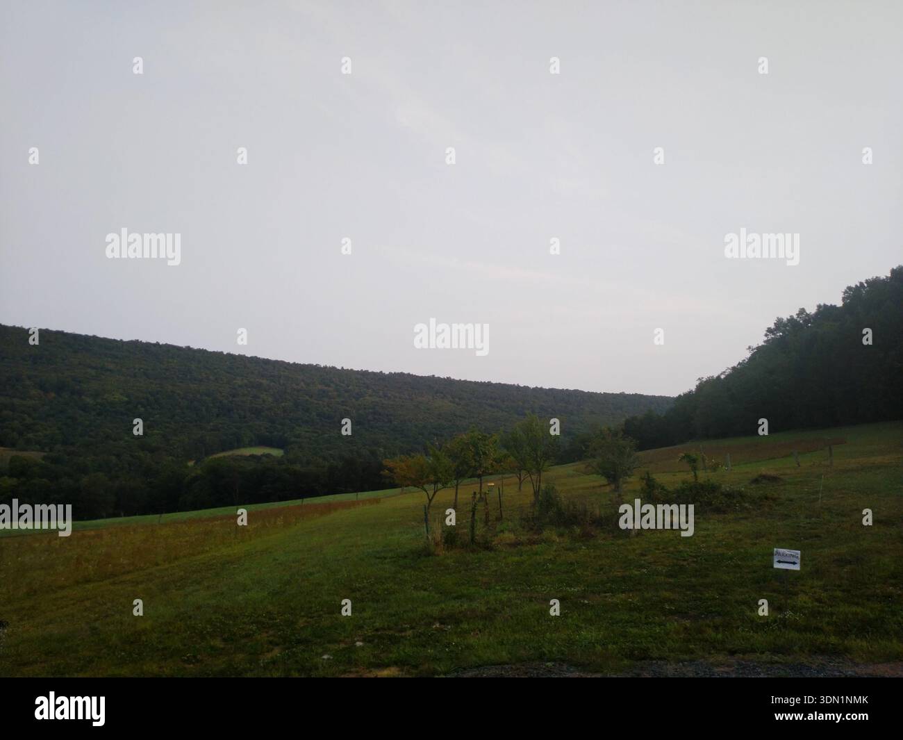 Vallée calme et verdoyante entourée de collines boisées créant un paysage rural paisible. Banque D'Images