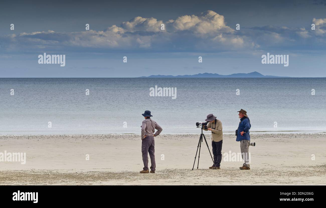 Image de trois ornithologues utilisant une lunette de repérage pour trouver des oiseaux de rivage dans le sable à Chilli Beach avec un ciel nuageux et une île à l'horizon, Cape York, Queensland Banque D'Images