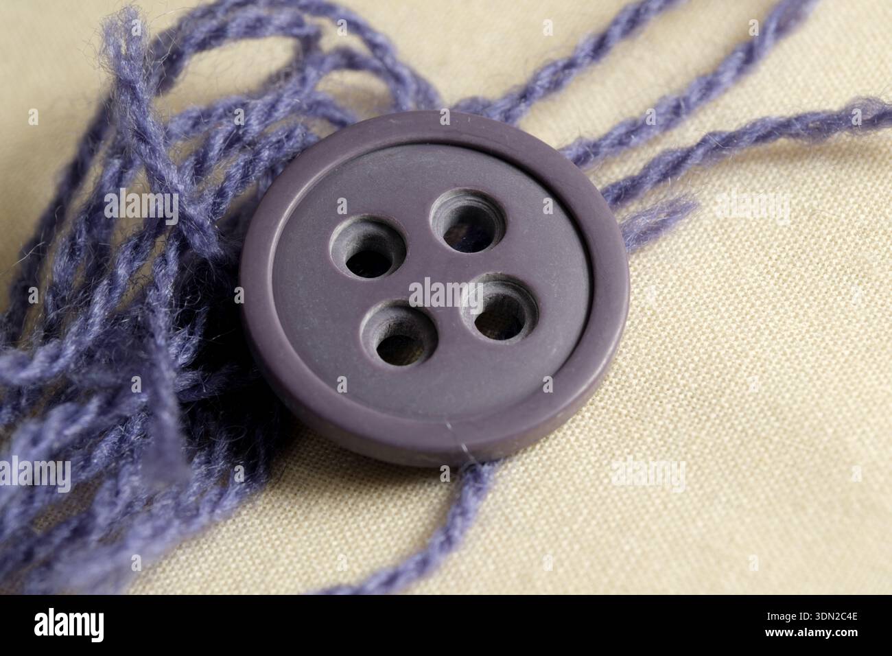 Un joli bouton violet repose sur un tissu doux, accompagné de brins de fil délicats. Banque D'Images