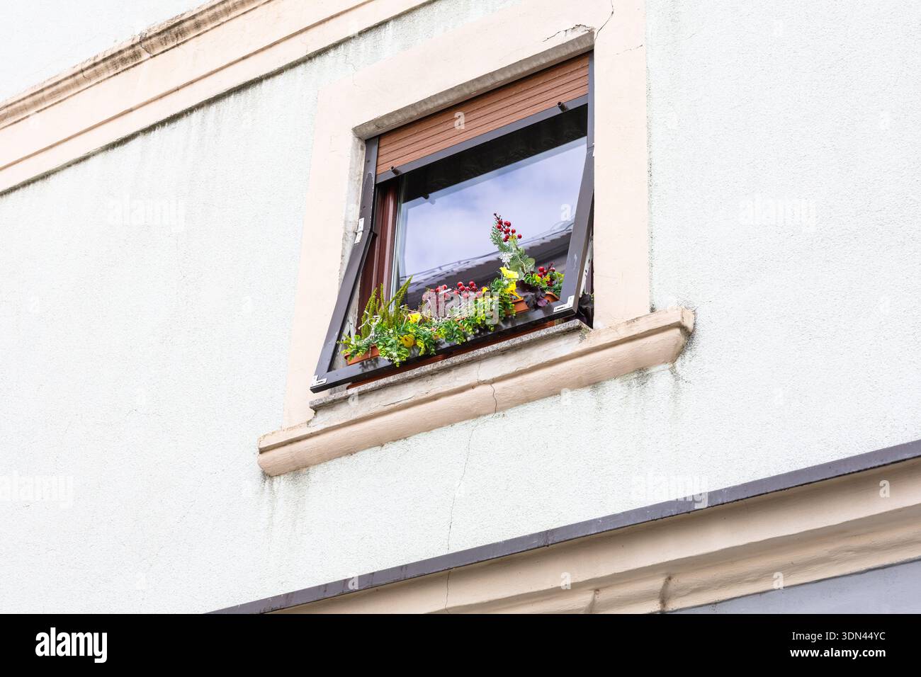 Une charmante fenêtre remplie de baies rouges vibrantes et de verdure luxuriante se trouve sur la façade de couleur crème d'un bâtiment. Une lumière douce met en valeur le jardin A. Banque D'Images