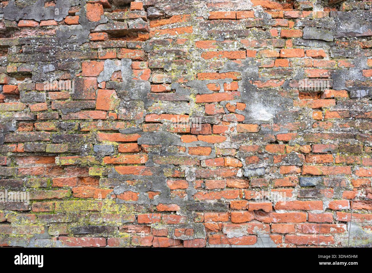 Gros plan d'un mur de briques altérées montrant de la mousse, du lichen et du mortier usé. Des textures riches et des tons chauds créent une toile de fond vieillie et rustique adaptée à Banque D'Images