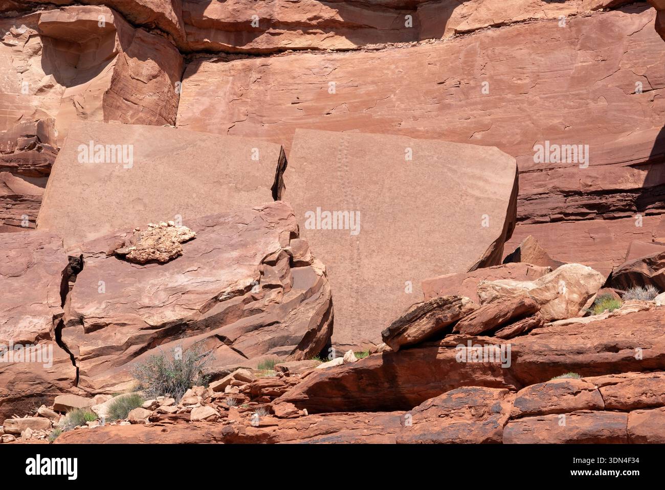 Traces de dinosaures sur dalle de grès, Canyonlands National Park, Utah. Banque D'Images