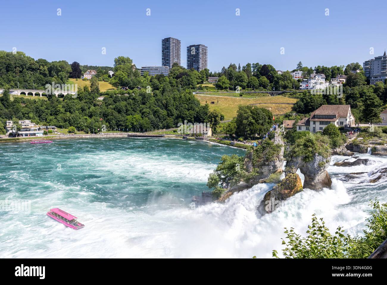 Chutes du Rhin Rheinfall près de Schaffhausen cascade sur le Rhin voyage à Neuhausen, Suisse Banque D'Images