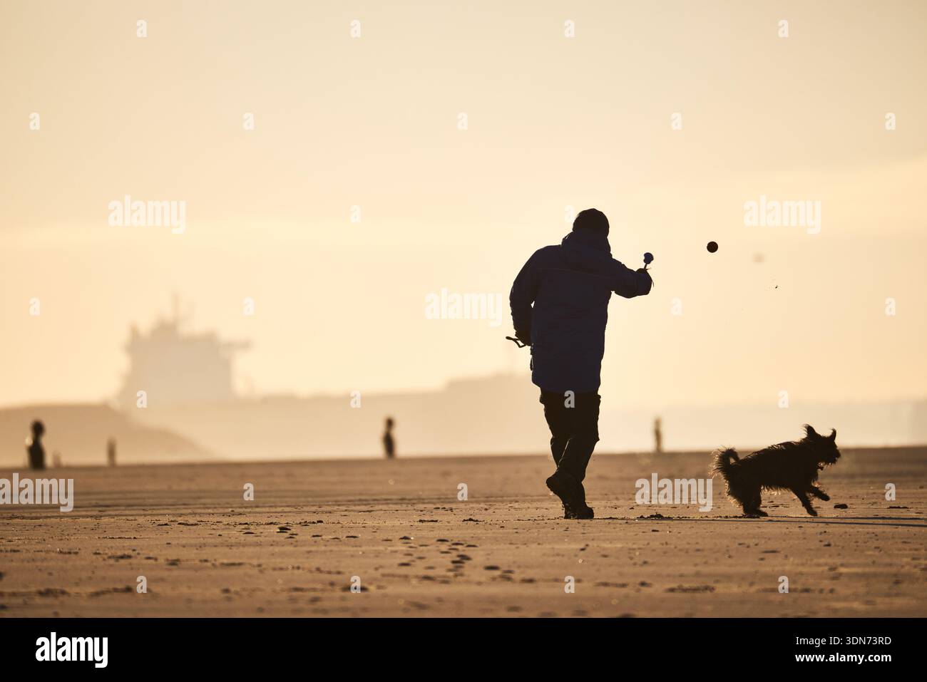 Metropolitan Borough of Sefton Crosby Beach Merseyside littoral nord Liverpool chien marchant sur la plage Banque D'Images
