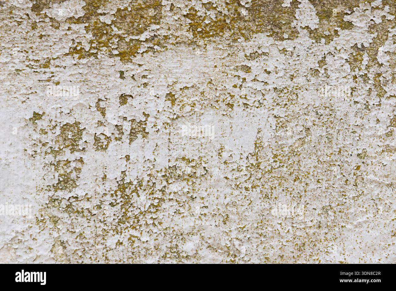Gros plan d'un mur fortement altéré avec une peinture blanche qui s'écaille et révèle un stuc jaune-brun rugueux, créant un fond texturé de style grunge Banque D'Images