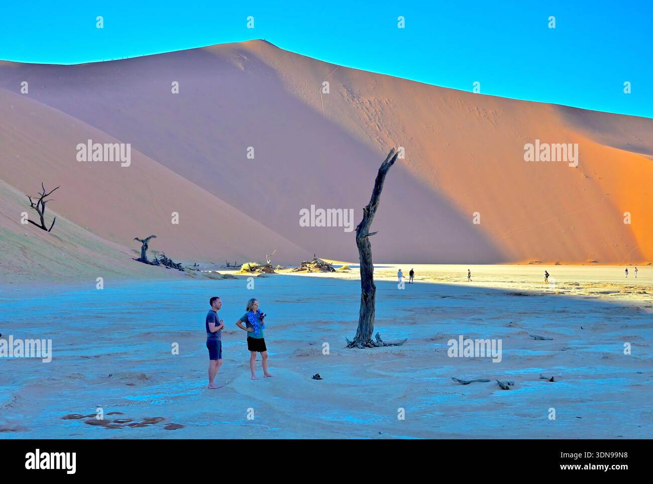 La Namibie est un pays désertique avec des paysages magnifiques et de beaux paysages Banque D'Images