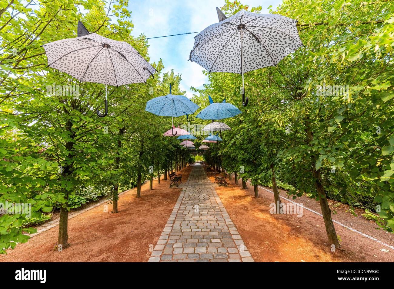 Chemin en pierre bordé de parasols colorés à Ogrody Kapias en Pologne, entouré de verdure luxuriante et de fleurs vibrantes, créant un jardin pittoresque SC Banque D'Images