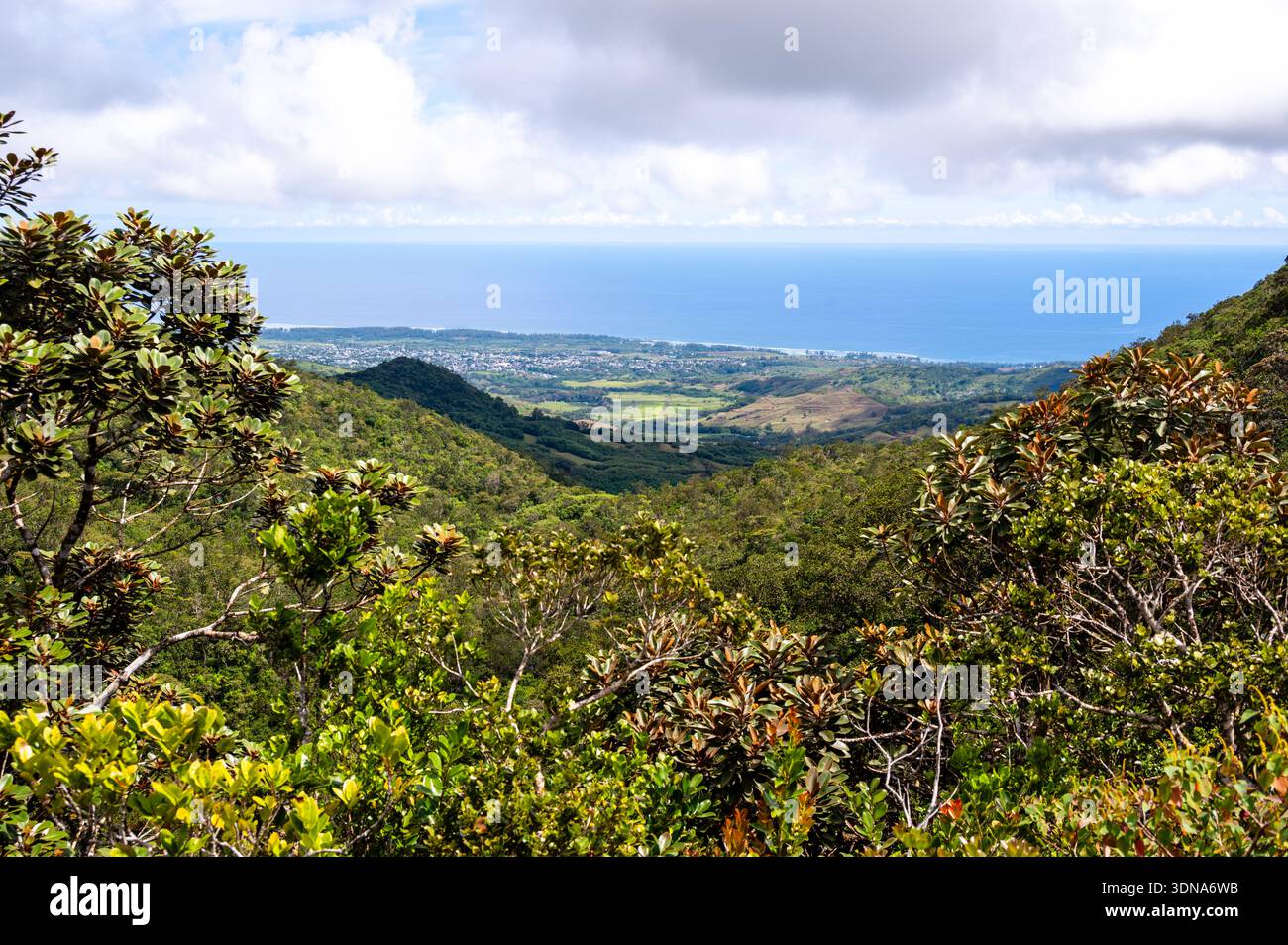 Vue panoramique surélevée depuis Alexandra Falls sur les forêts tropicales luxuriantes jusqu'à la côte sud de l'île Maurice Banque D'Images