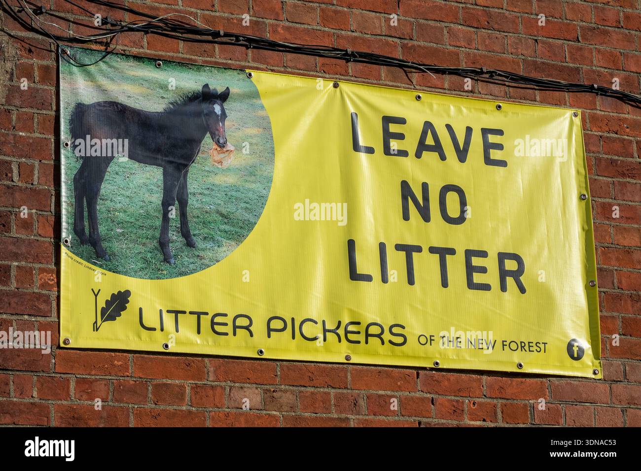 Grand panneau accroché au mur dans Lymington High Street, New Forest National Park, « ne laissez pas de litière » érigé par les ramasseurs de litière de la nouvelle forêt. Banque D'Images