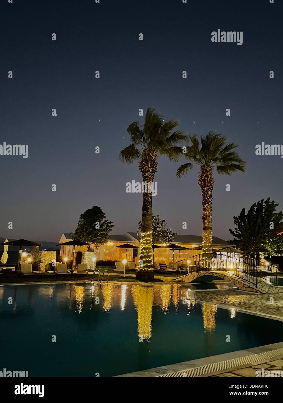 Piscine luxueuse de l'hôtel la nuit avec palmiers illuminés Banque D'Images